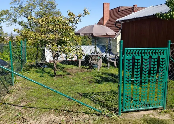 Alma Сребрна Гура